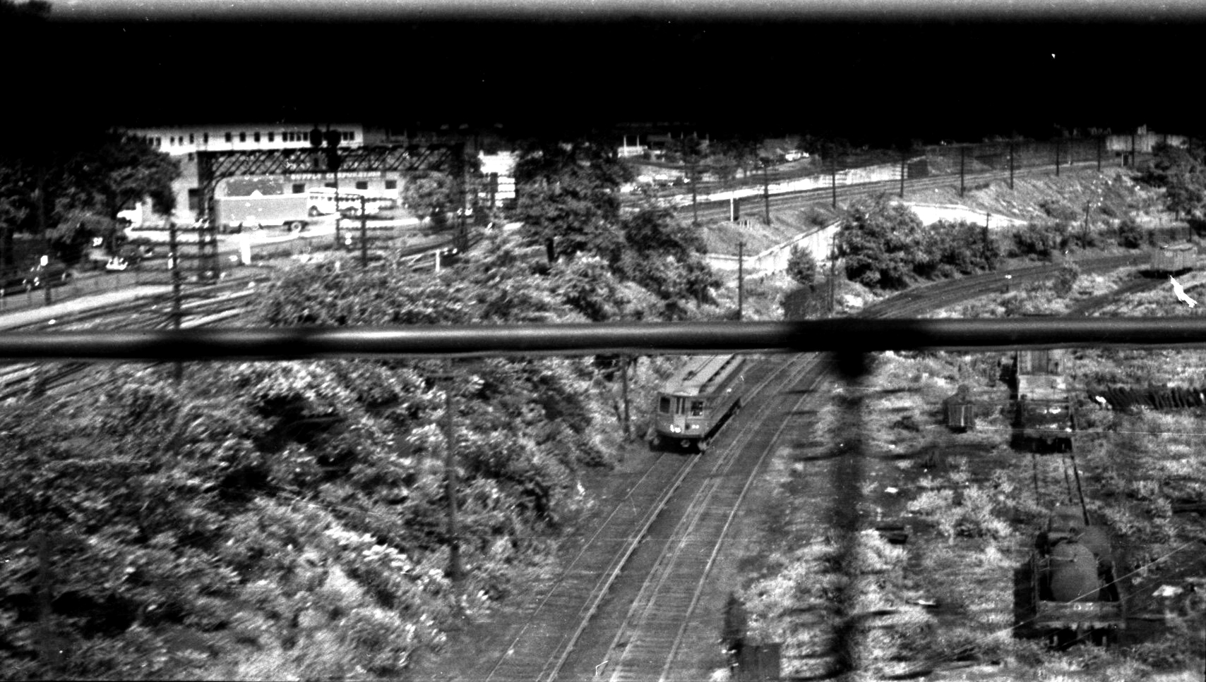 Laurel Line Scranton Cut